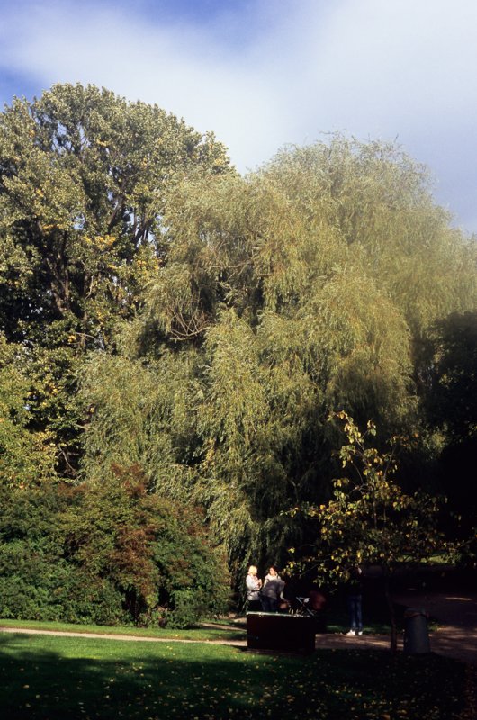 Image30.jpg