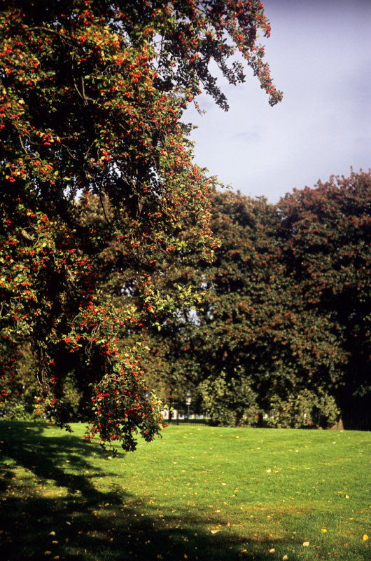 Image34.jpg