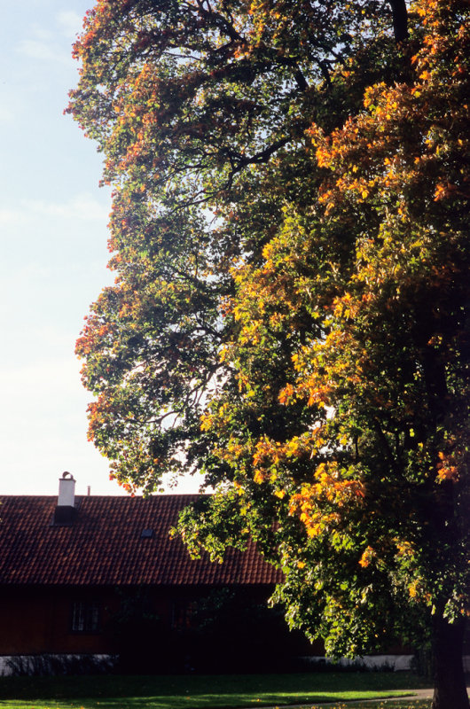 Image35.jpg