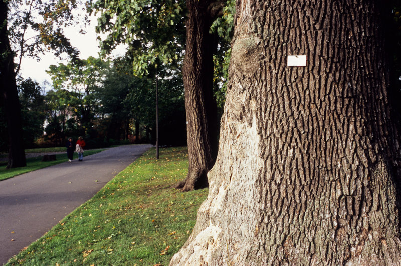 Image37.jpg