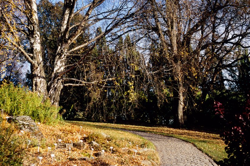 Botanisk Hage, oktober 2010