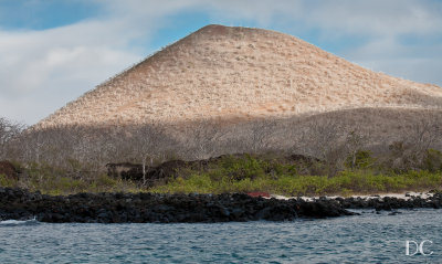 Floreana Island