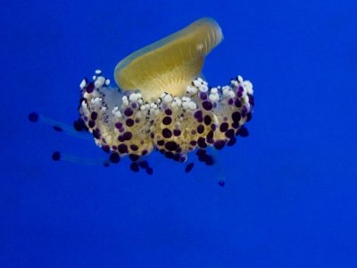 IMG_4869.jpg