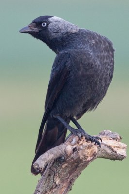 6522