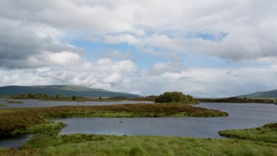 P1000701