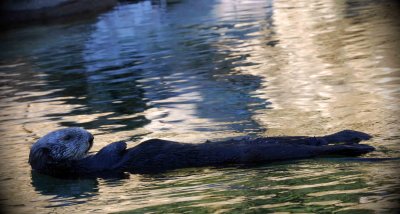 DSC_0034b.jpg