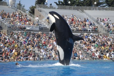 Sea World - San Diego