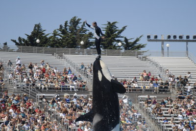 Sea World - San Diego