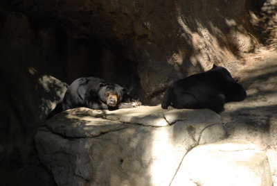 San Diego Zoo