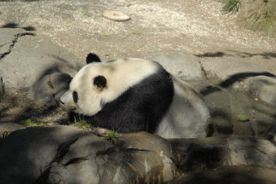 San Diego Zoo