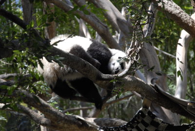 San Diego Zoo