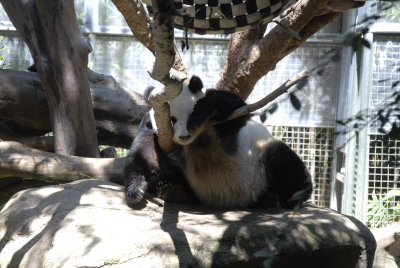 San Diego Zoo