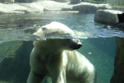 San Diego Zoo