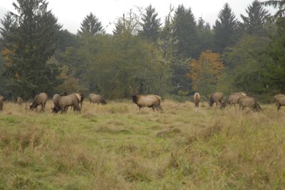 _DSC2605.JPG