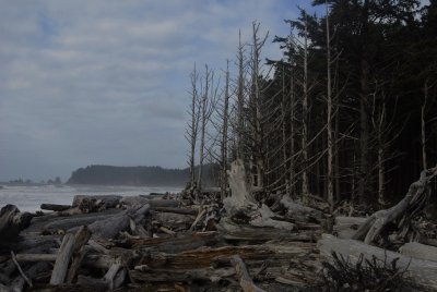 _DSC2687.JPG