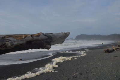 _DSC2704.JPG
