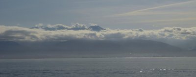 _DSC2800.JPG