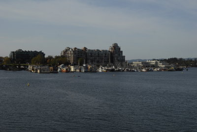 _DSC2831.JPG