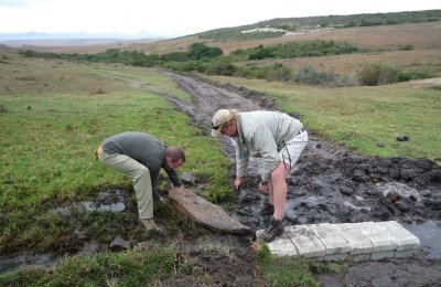 Putting in drainage channel
