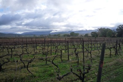 Wine country