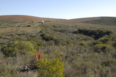Looking back to camp