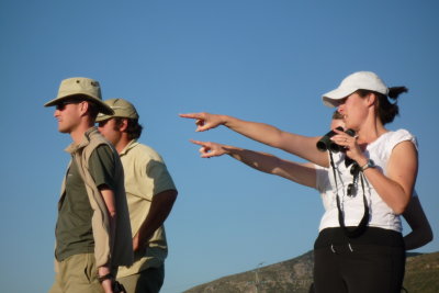 Over there!