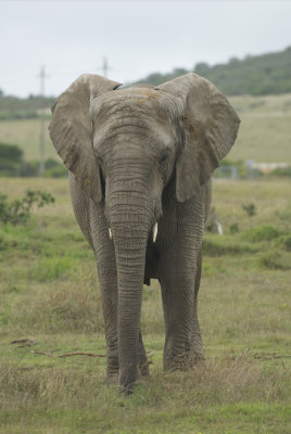 Garden Route game Lodge