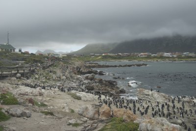 Betty's Bay