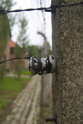 Auschwitz