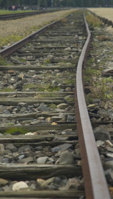 Auschwitz-Birkenau