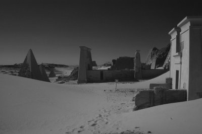 DSC_8908.jpg