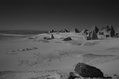 DSC_8919.jpg