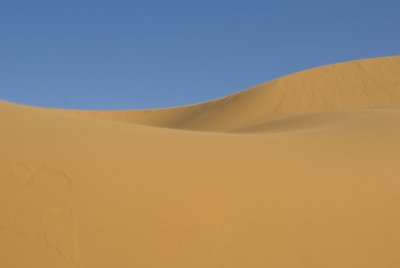 _DSC6886.jpg