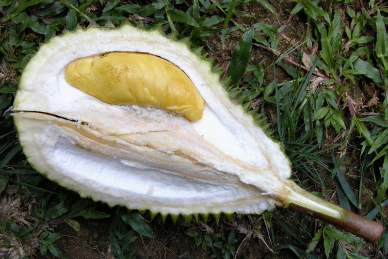 Unknown 1.jpg