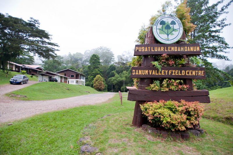 Danum Valley Field Center