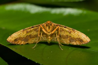 _LC81072x.jpg