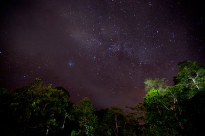 Danum Valley - Sabah