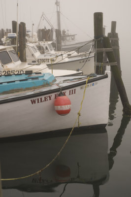 fog on the dock.jpg