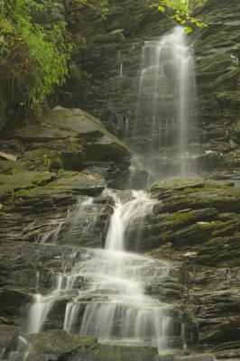 falls and greens.jpg