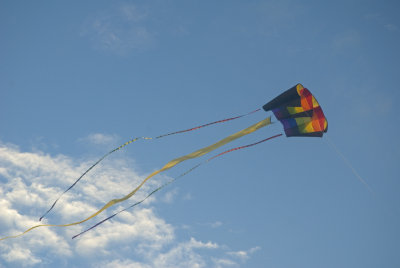 summer kite.jpg