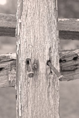 this old fence b&w.tif