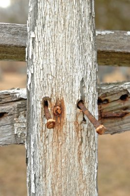 this old fence.tif