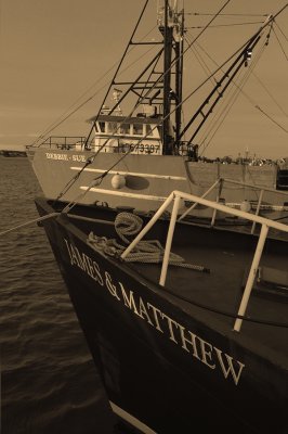 namesakes b&w.tif