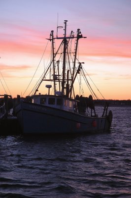 sunset silhouette.tif