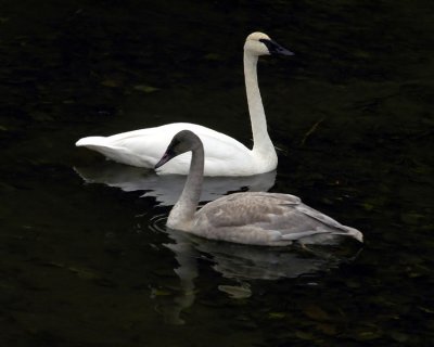 Mom and the Kid