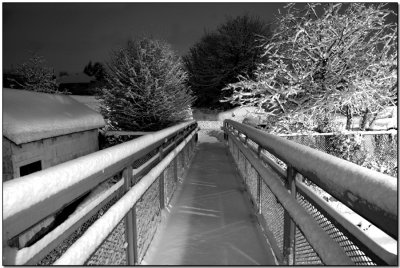 Back Walkway