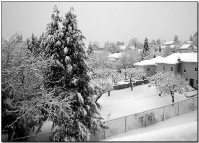 From the Balcony