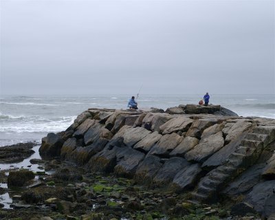 DSC_4808.jpg