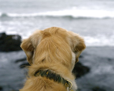 newport_sept_2008