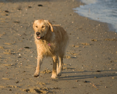 DSC_8589-1.jpg
